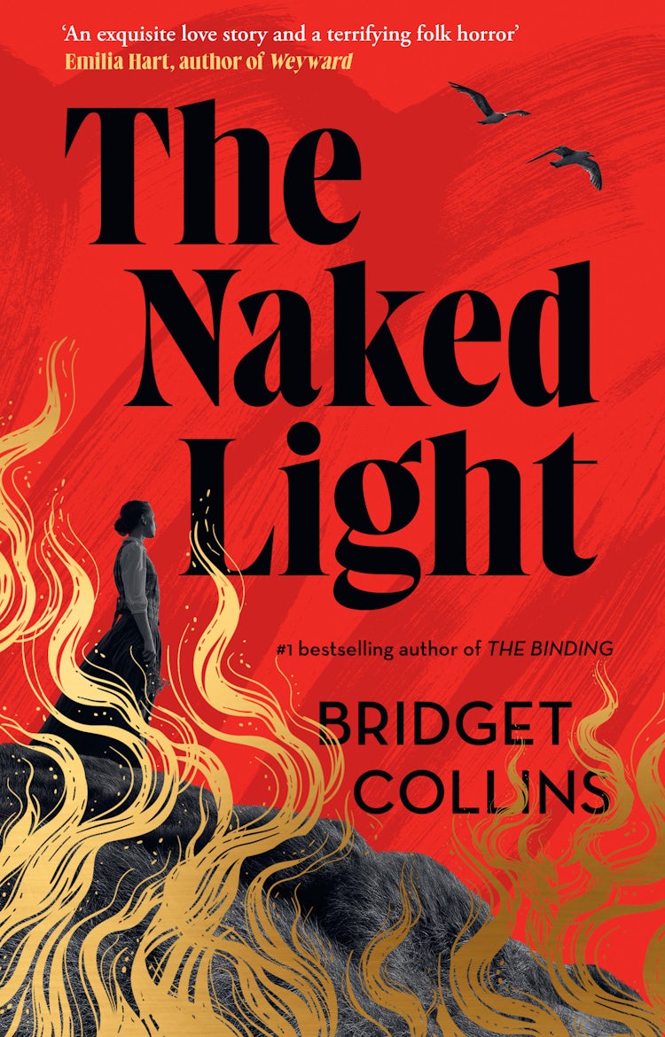 Cover image for The Naked Light, isbn: 9780008424084