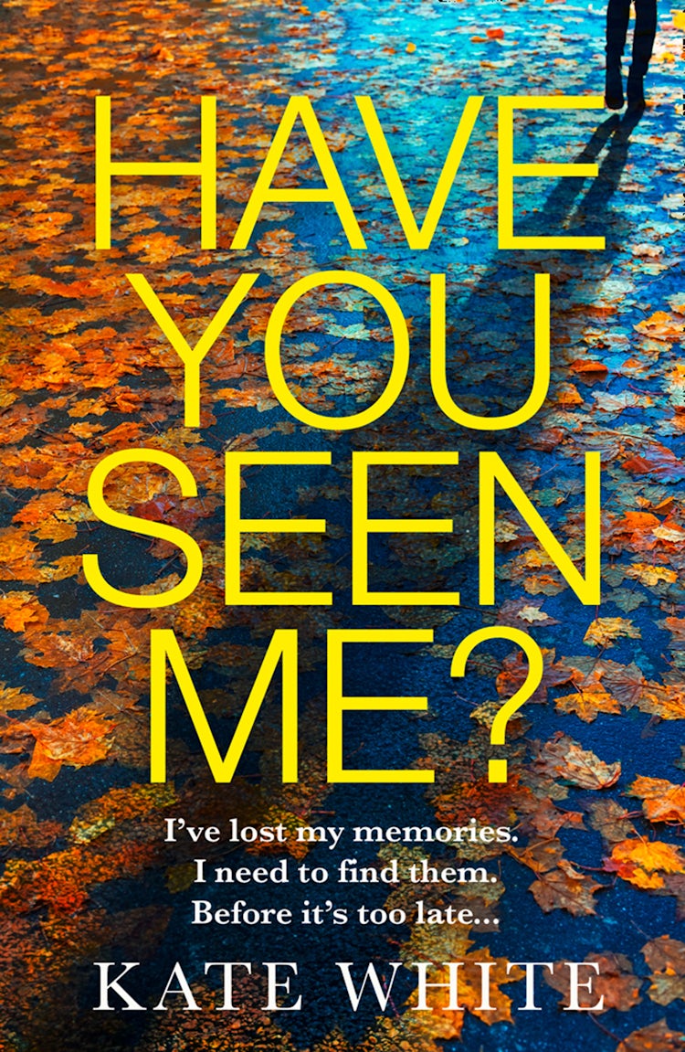 Cover image for Have You Seen Me?, isbn: 9780008427245