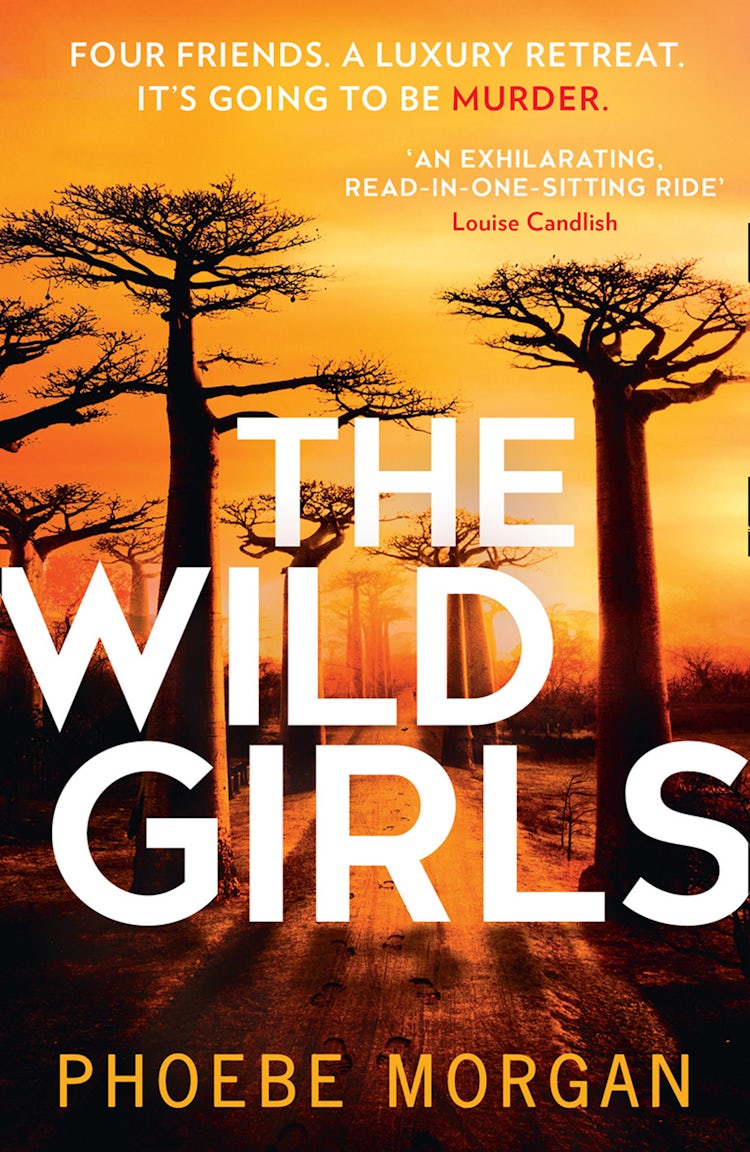 Cover image for The Wild Girls, isbn: 9780008431068
