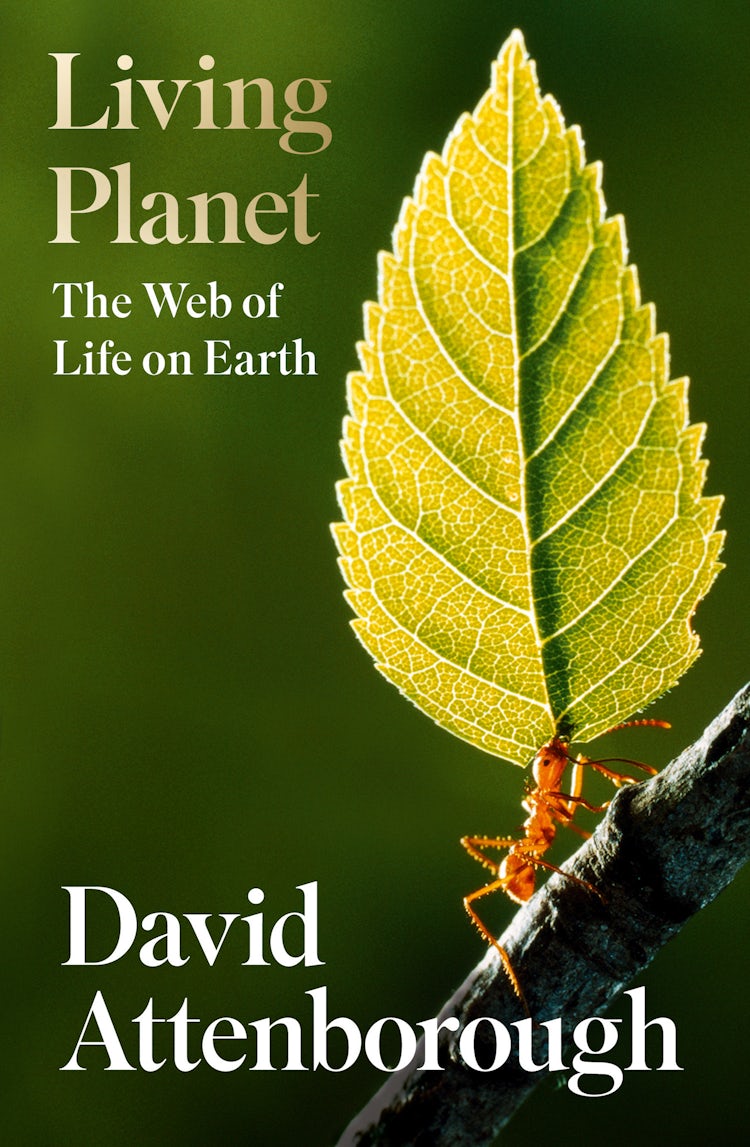 Cover image for Living Planet: The Web of Life on Earth, isbn: 9780008433178