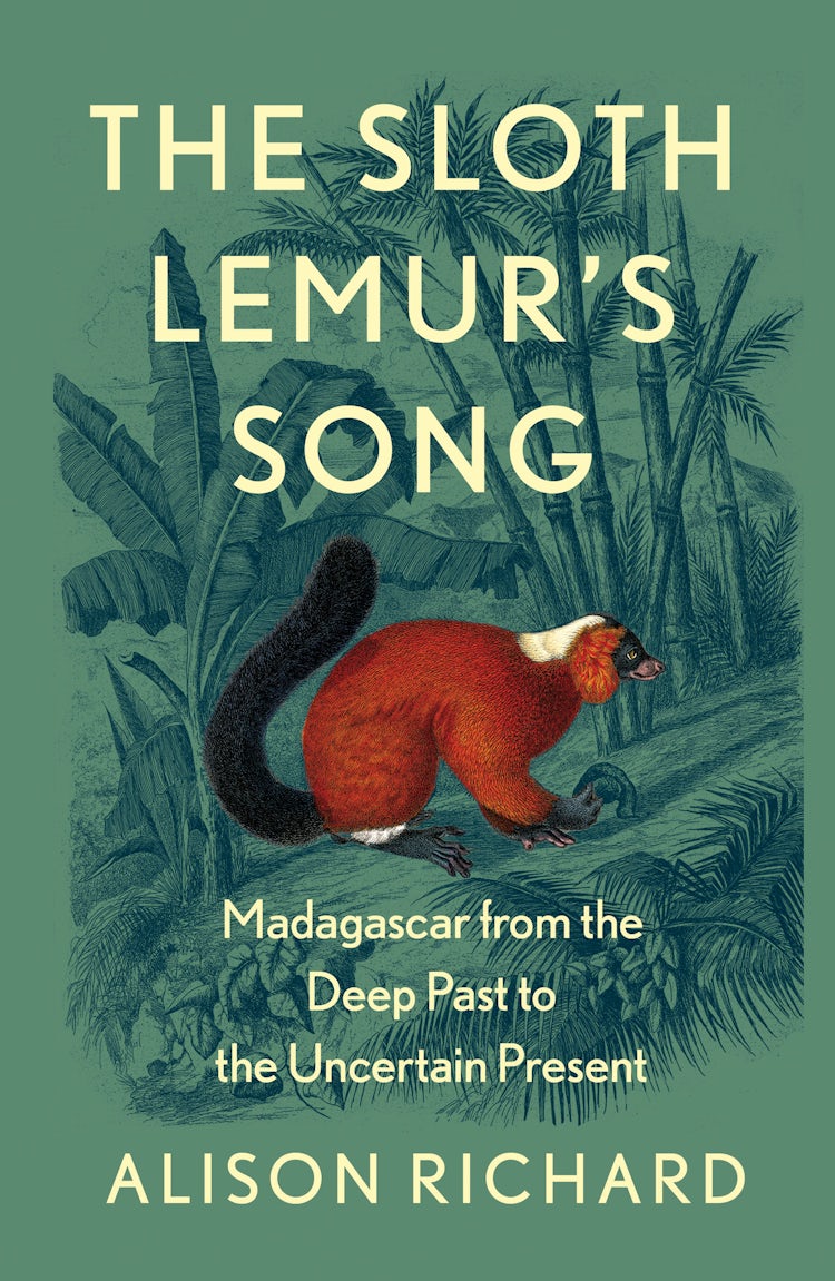 Cover image for The Sloth Lemur's Song: Madagascar from the Deep Past to the Uncertain Present, isbn: 9780008435950