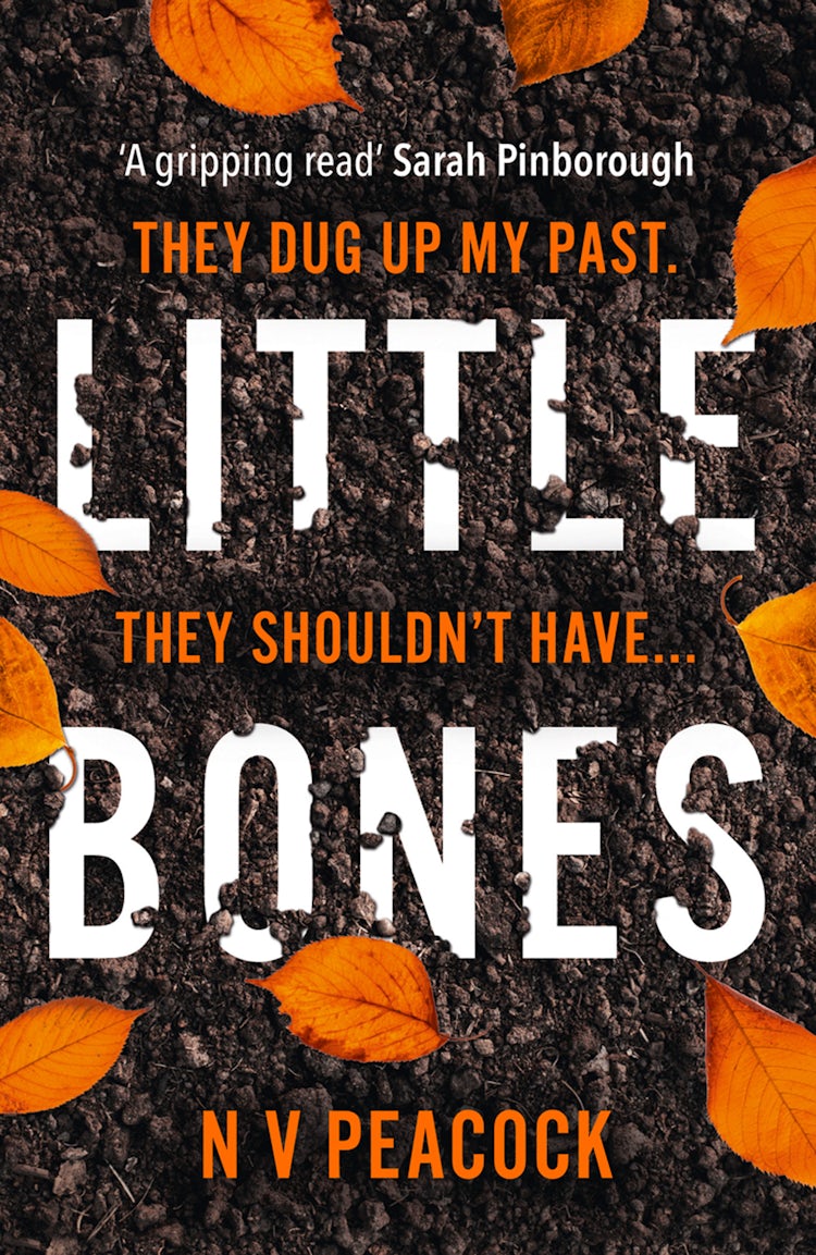 Cover image for Little Bones, isbn: 9780008436353