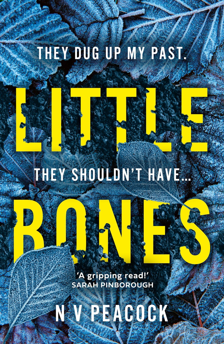 Cover image for Little Bones, isbn: 9780008436360