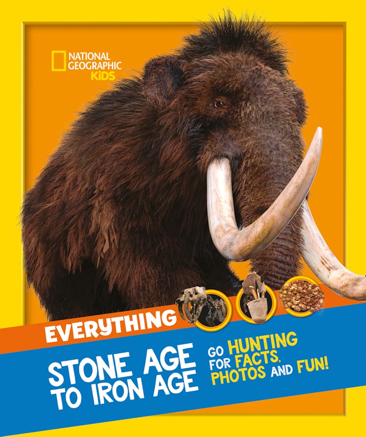 Cover image for Everything: Stone Age to Iron Age, isbn: 9780008444747