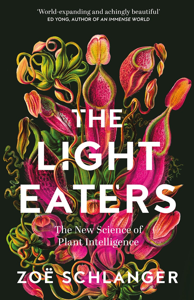 Cover image for The Light Eaters: The New Science of Plant Intelligence, isbn: 9780008445348
