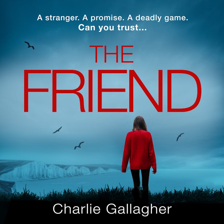 Cover image for The Friend: A gripping and addictive new thriller for 2021 from the top 5 best seller, isbn: 9780008445539