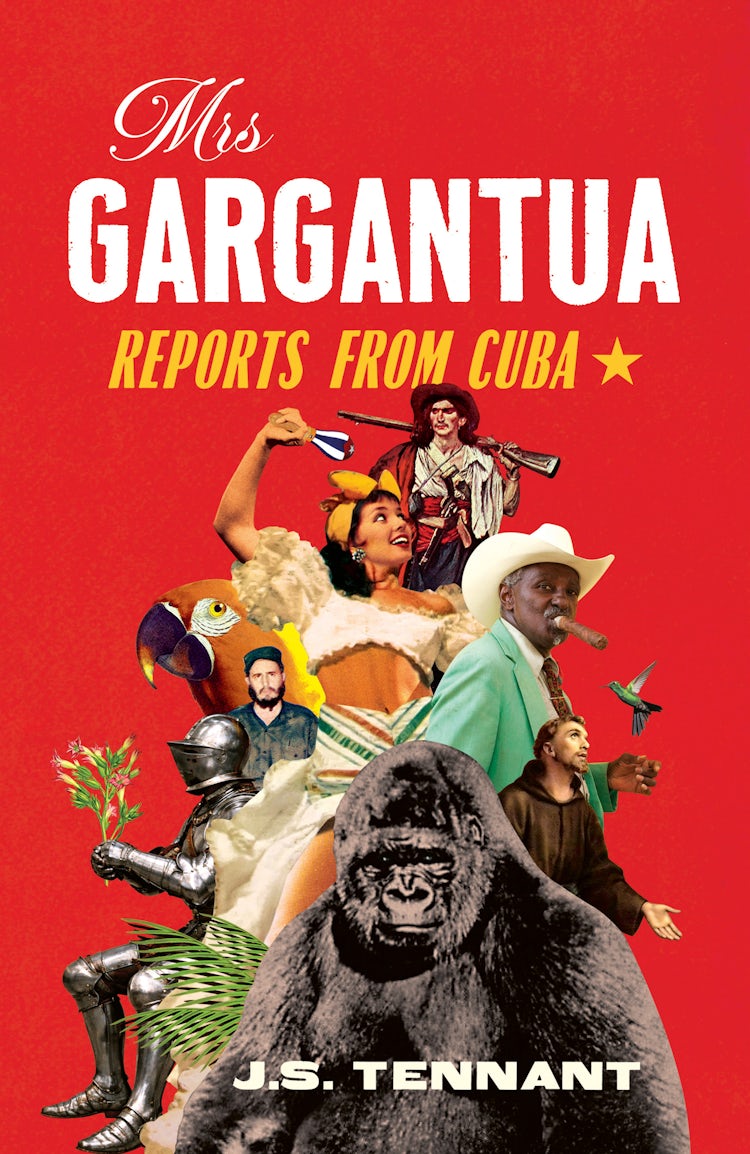 Cover image for Mrs Gargantua, isbn: 9780008447755