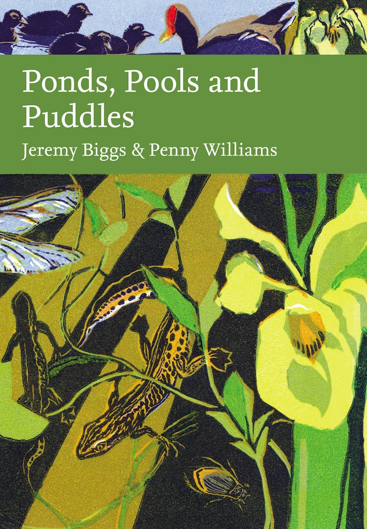 Cover image for Ponds, Pools and Puddles (Collins New Naturalist Library), isbn: 9780008453237