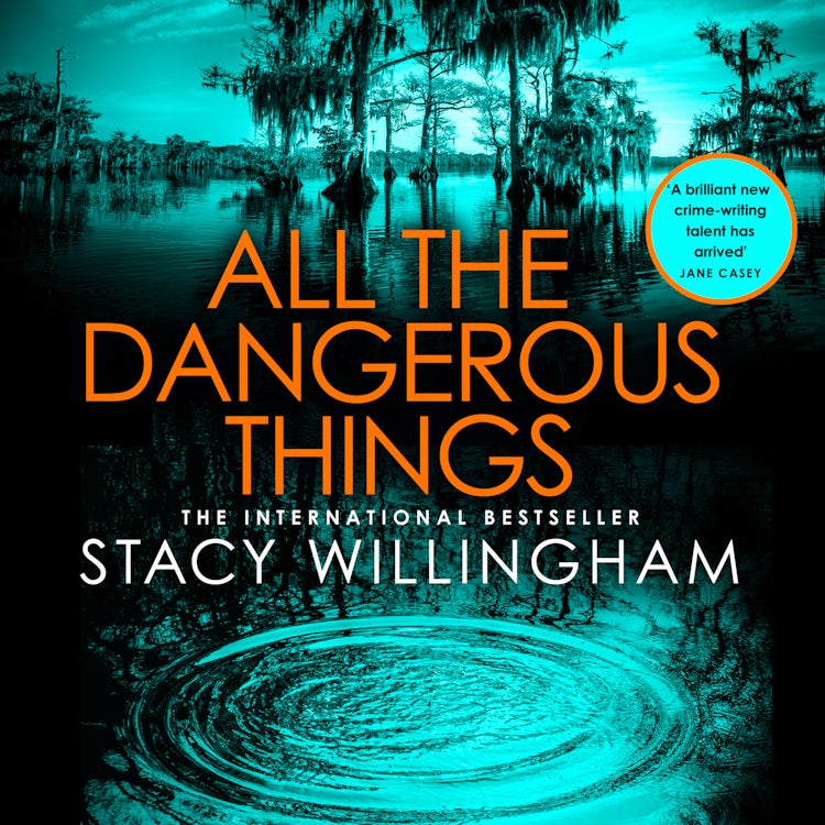 Cover image for All the Dangerous Things: The gripping new psychological thriller from the New York Times bestselling author of A Flicker in the Dark, isbn: 9780008454524