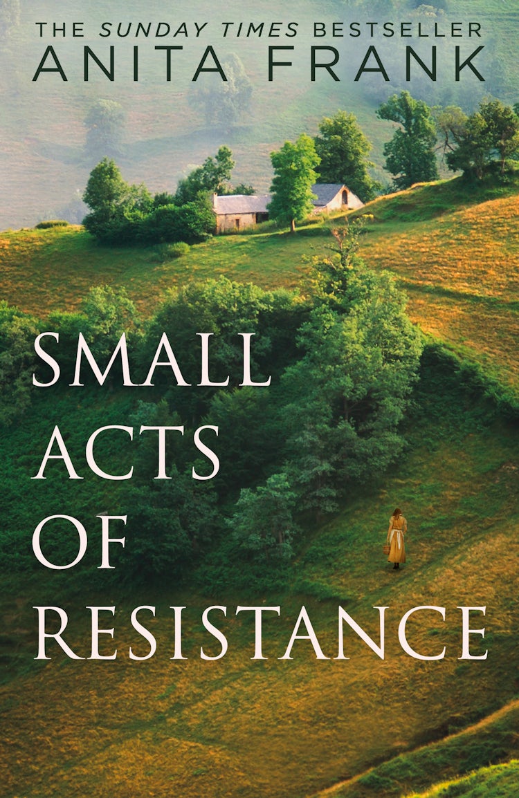 Cover image for Small Acts of Resistance, isbn: 9780008455286