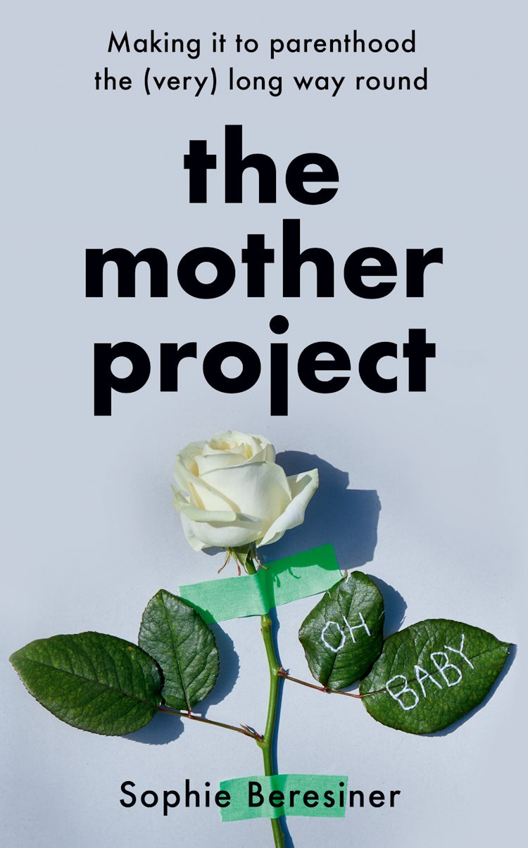 Cover image for The Mother Project: Making it to parenthood the (very) long way round, isbn: 9780008456870