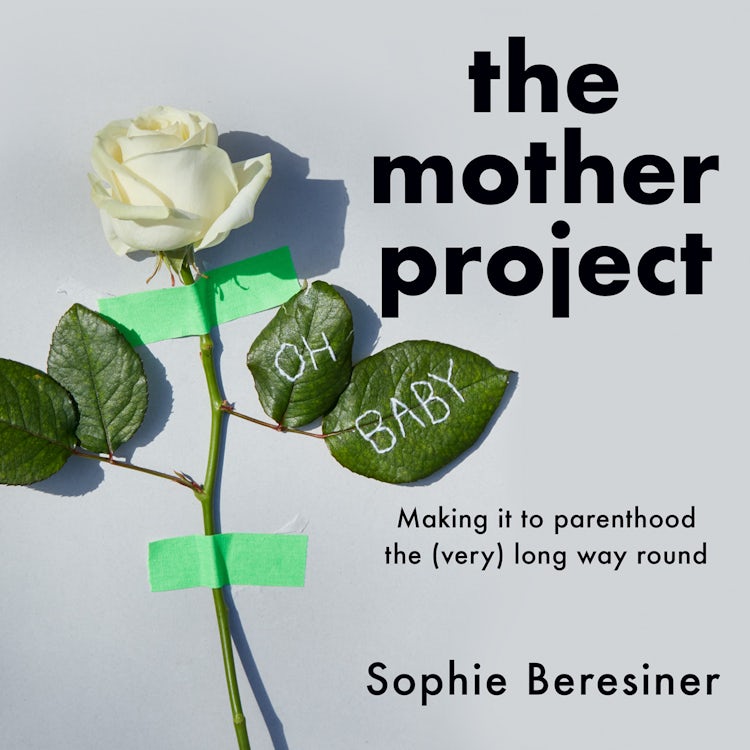 Cover image for The Mother Project: Making it to parenthood the (very) long way round, isbn: 9780008456887
