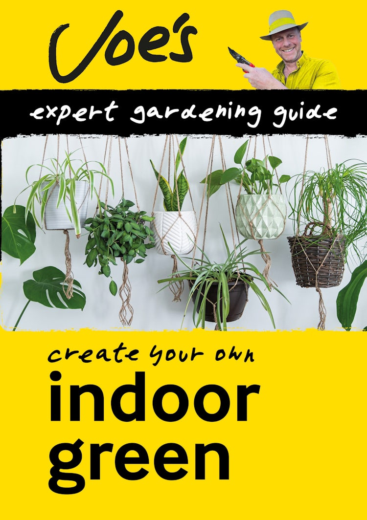 Cover image for Indoor Green: Beginner’s guide to caring for houseplants (Collins Joe Swift Gardening Books), isbn: 9780008461072