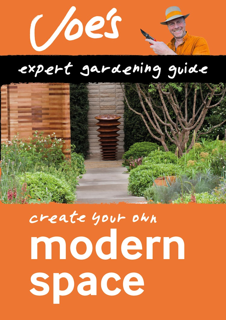 Cover image for Modern Space: Beginner’s guide to designing your garden (Collins Joe Swift Gardening Books), isbn: 9780008461133