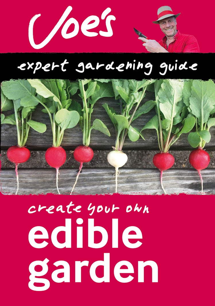 Cover image for Edible Garden: Beginner’s guide to growing your own herbs, fruit and vegetables (Collins Joe Swift Gardening Books), isbn: 9780008461157