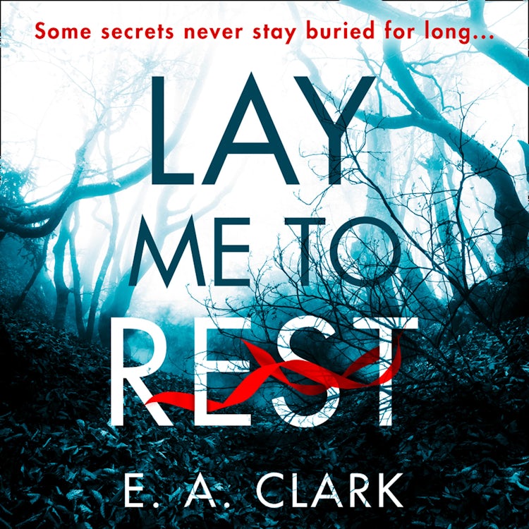 Cover image for Lay Me to Rest: A quiet village. A missing woman. A haunting apparition., isbn: 9780008462215