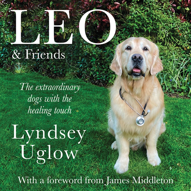 Cover image for Leo & Friends: The Dogs with a Healing Touch, isbn: 9780008466565