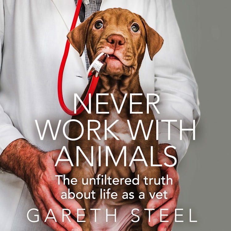 Cover image for Never Work with Animals: The unfiltered truth about life as a vet, isbn: 9780008466602