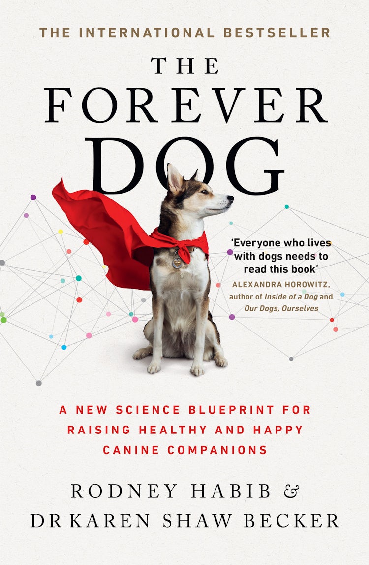 Cover image for Forever Dog, isbn: 9780008467425