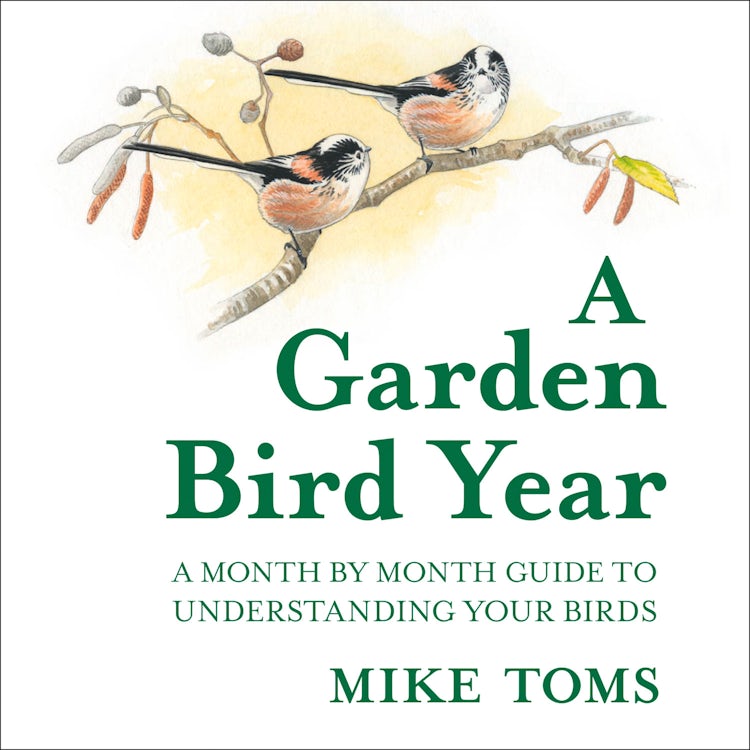 Cover image for A Garden Bird Year, isbn: 9780008470630
