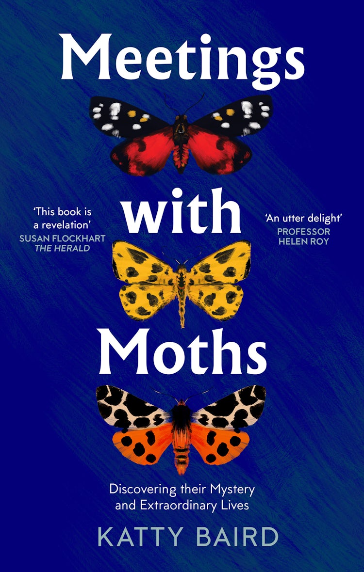 Cover image for Meeting with Moths: Discovering their Mystery and Extraordinary Lives, isbn: 9780008474089