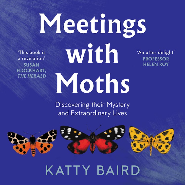 Cover image for Meetings with Moths: Discovering their Mystery and Extraordinary Lives, isbn: 9780008474102
