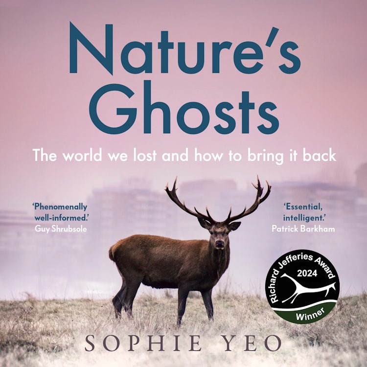 Cover image for Nature’s Ghosts: The world we lost and how to bring it back, isbn: 9780008474140