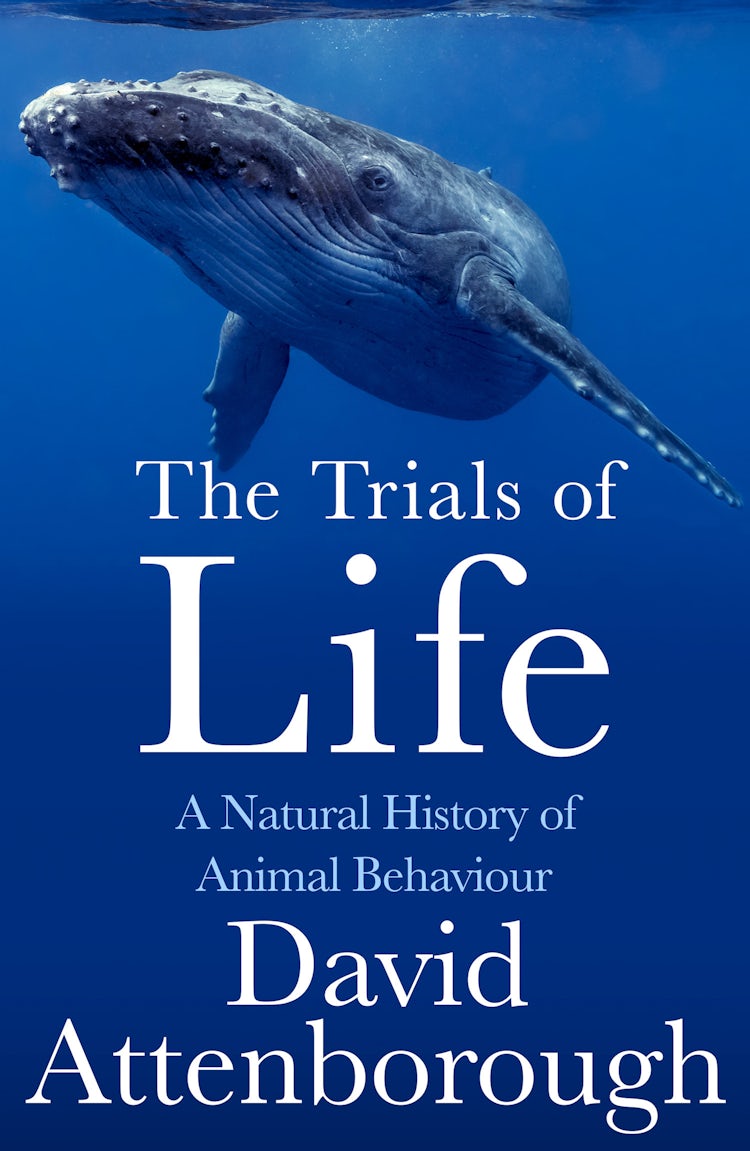 Cover image for The Trials of Life: A Natural History of Animal Behaviour, isbn: 9780008477882