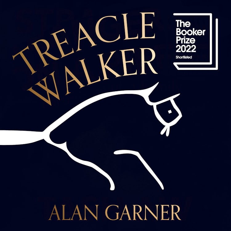 Cover image for Treacle Walker: Shortlisted for the 2022 Booker Prize and a Guardian Best Fiction Book of 2021, isbn: 9780008478155