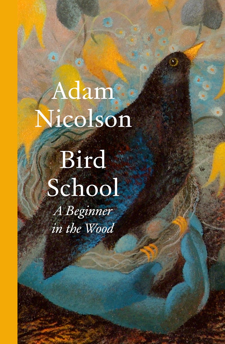 Cover image for Bird School: A Beginner in the Wood, isbn: 9780008490836