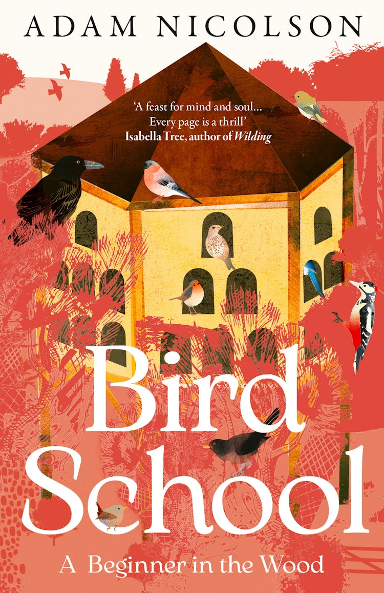 Cover image for Bird School: A Beginner in the Wood, isbn: 9780008490850