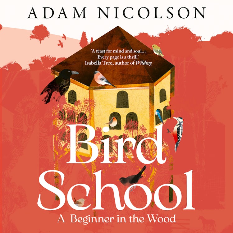 Cover image for Bird School: A Beginner in the Wood, isbn: 9780008490867