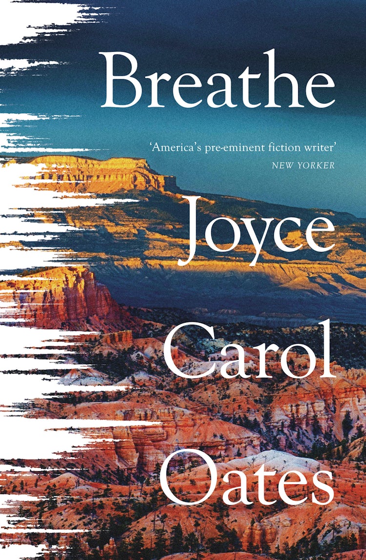 Cover image for Breathe, isbn: 9780008490904