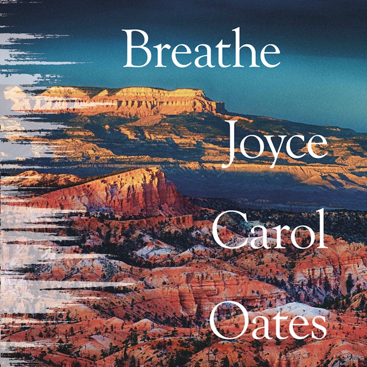 Cover image for Breathe, isbn: 9780008490911