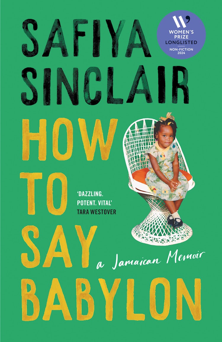 Cover image for How To Say Babylon, isbn: 9780008491291