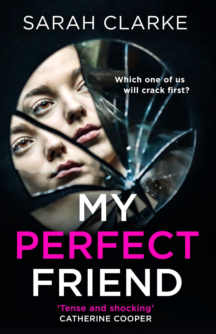 Cover image for My Perfect Friend, isbn: 9780008494933
