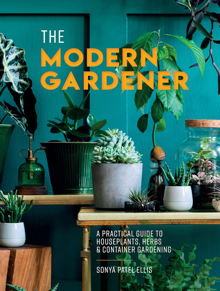 Cover image for The Modern Gardener: A practical guide to houseplants, herbs and container gardening, isbn: 9780008498252