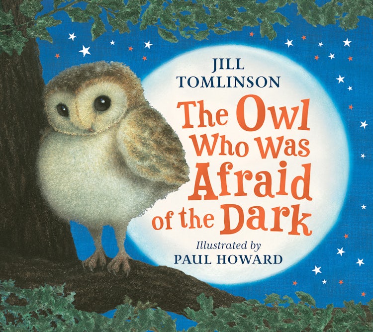 Cover image for The Owl Who Was Afraid of the Dark, isbn: 9780008498986