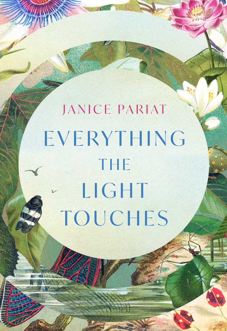 Cover image for Everything the Light Touches, isbn: 9780008500290