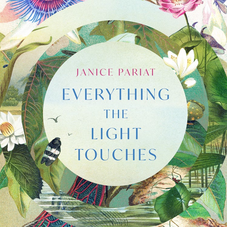 Cover image for Everything the Light Touches, isbn: 9780008500306
