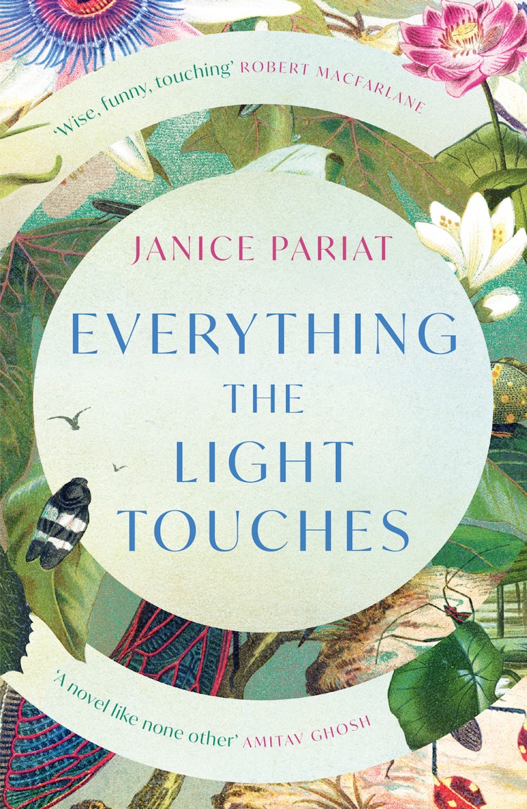 Cover image for Everything The Light Touches, isbn: 9780008500313