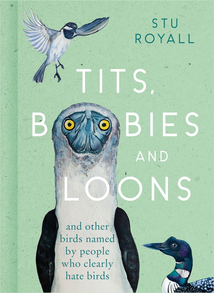 Cover image for Tits, Boobies and Loons: And Others Birds Named by People Who Clearly Hate Birds, isbn: 9780008501341