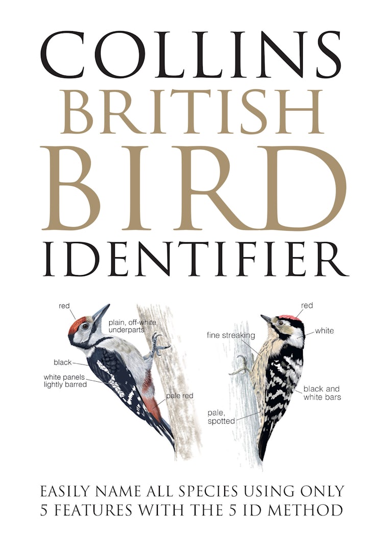 Cover image for Collins British Bird Identifier, isbn: 9780008508074