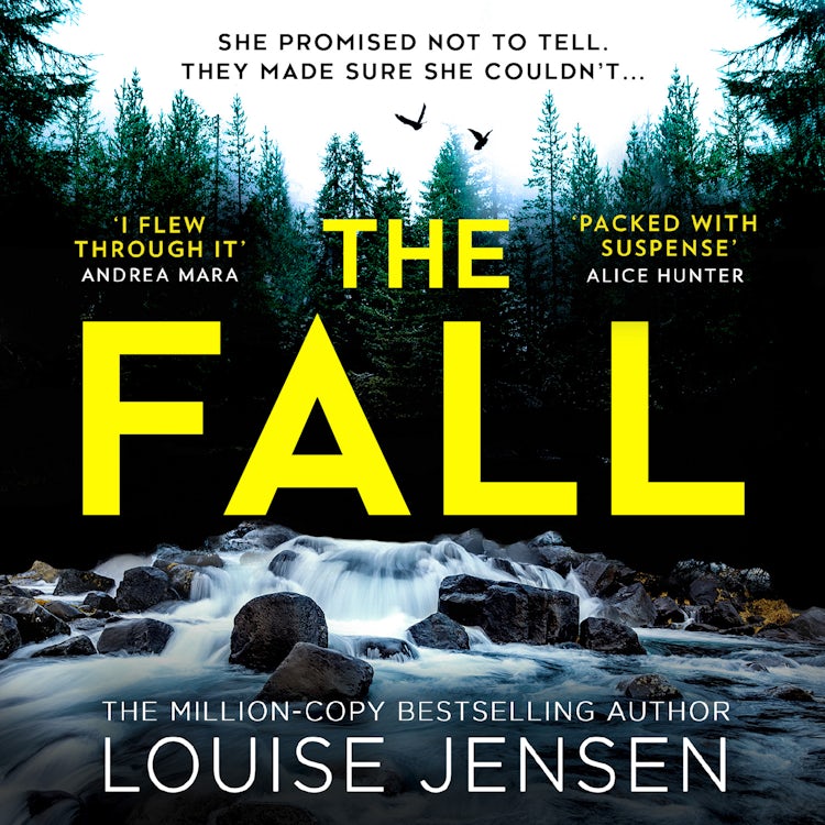 Cover image for The Fall: The unmissable suspense psychological crime thriller from the bestselling author of All For You and The Intruders, isbn: 9780008508531