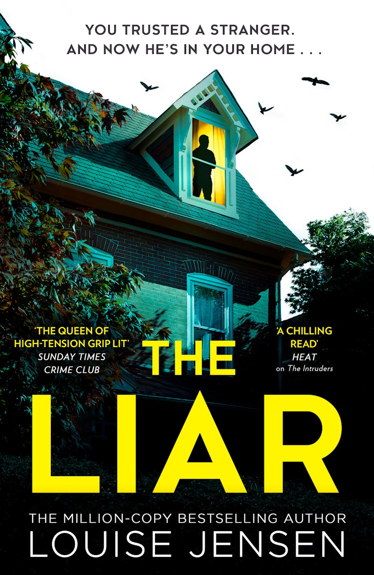 Cover image for The Liar, isbn: 9780008508593
