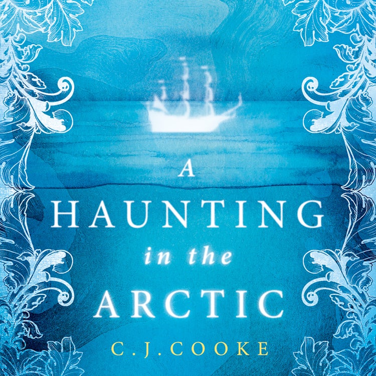 Cover image for A Haunting in the Arctic: The chilling gothic thriller from the bestselling author of The Lighthouse Witches and The Book of Witching, isbn: 9780008515980
