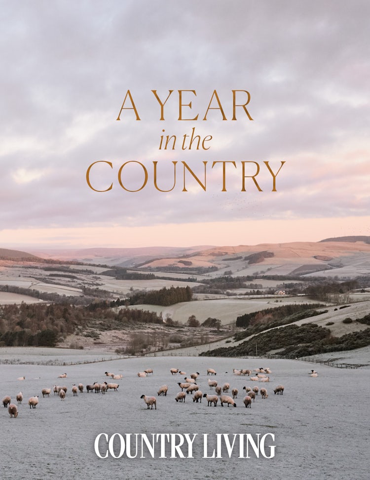 Cover image for A Year in the Country, isbn: 9780008517007