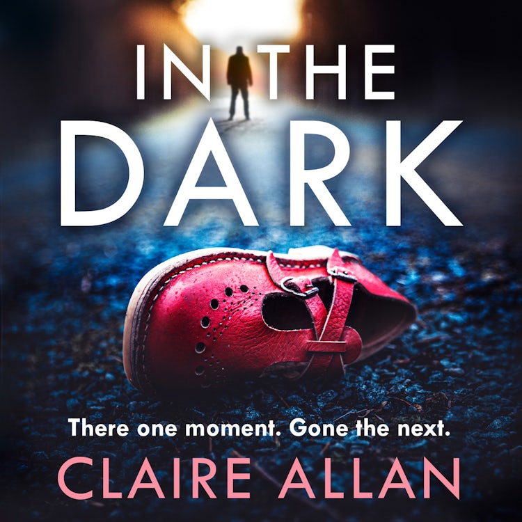 Cover image for In The Dark: The new whiplash-inducing crime thriller from Irish bestseller, isbn: 9780008524609