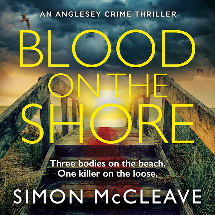 Cover image for Blood on the Shore: The brand new, pulse-pounding serial killer crime thriller from bestselling sensation Simon McCleave (The Anglesey Series, Book 3), isbn: 9780008524906