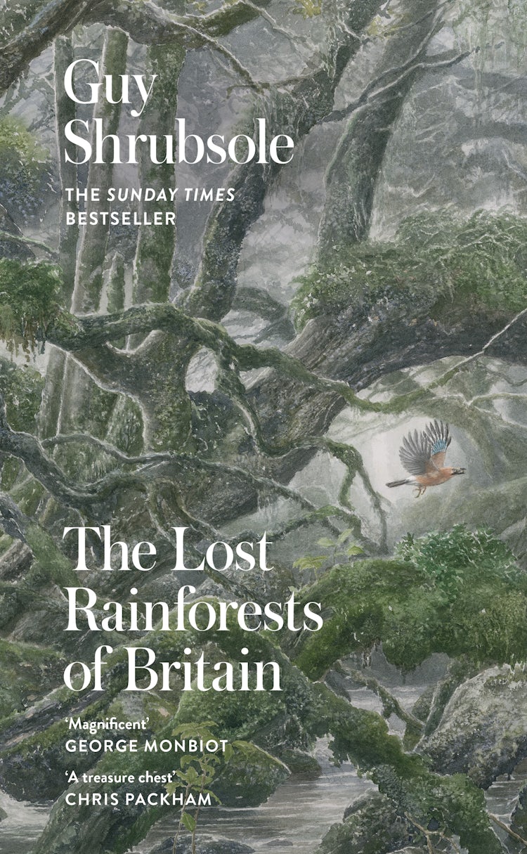 Cover image for The Lost Rainforests Of Britain, isbn: 9780008527952